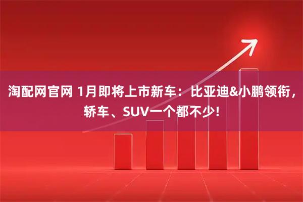 淘配网官网 1月即将上市新车：比亚迪&小鹏领衔，轿车、SUV一个都不少!