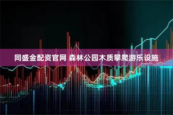 同盛金配资官网 森林公园木质攀爬游乐设施